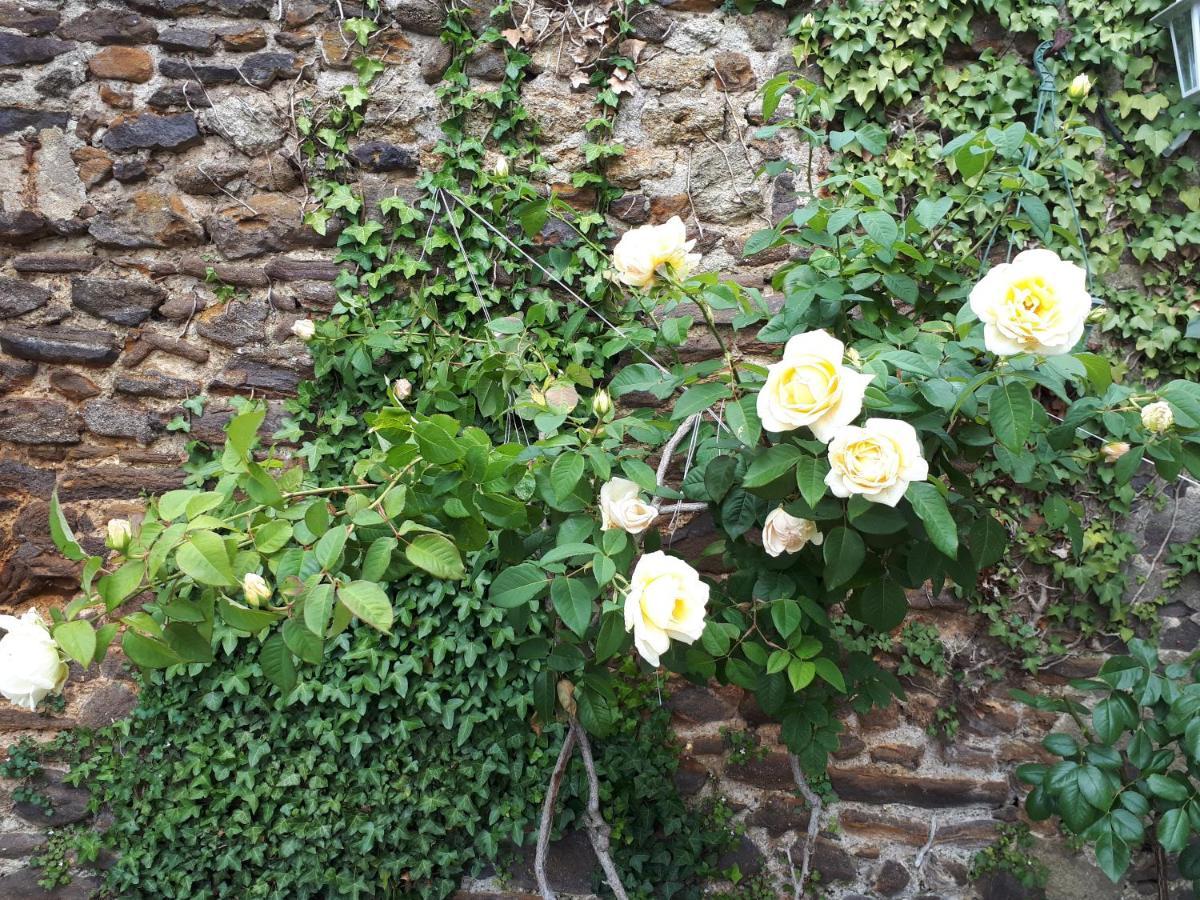 La Maison D'Hotes De Constance Le Mans Bagian luar foto